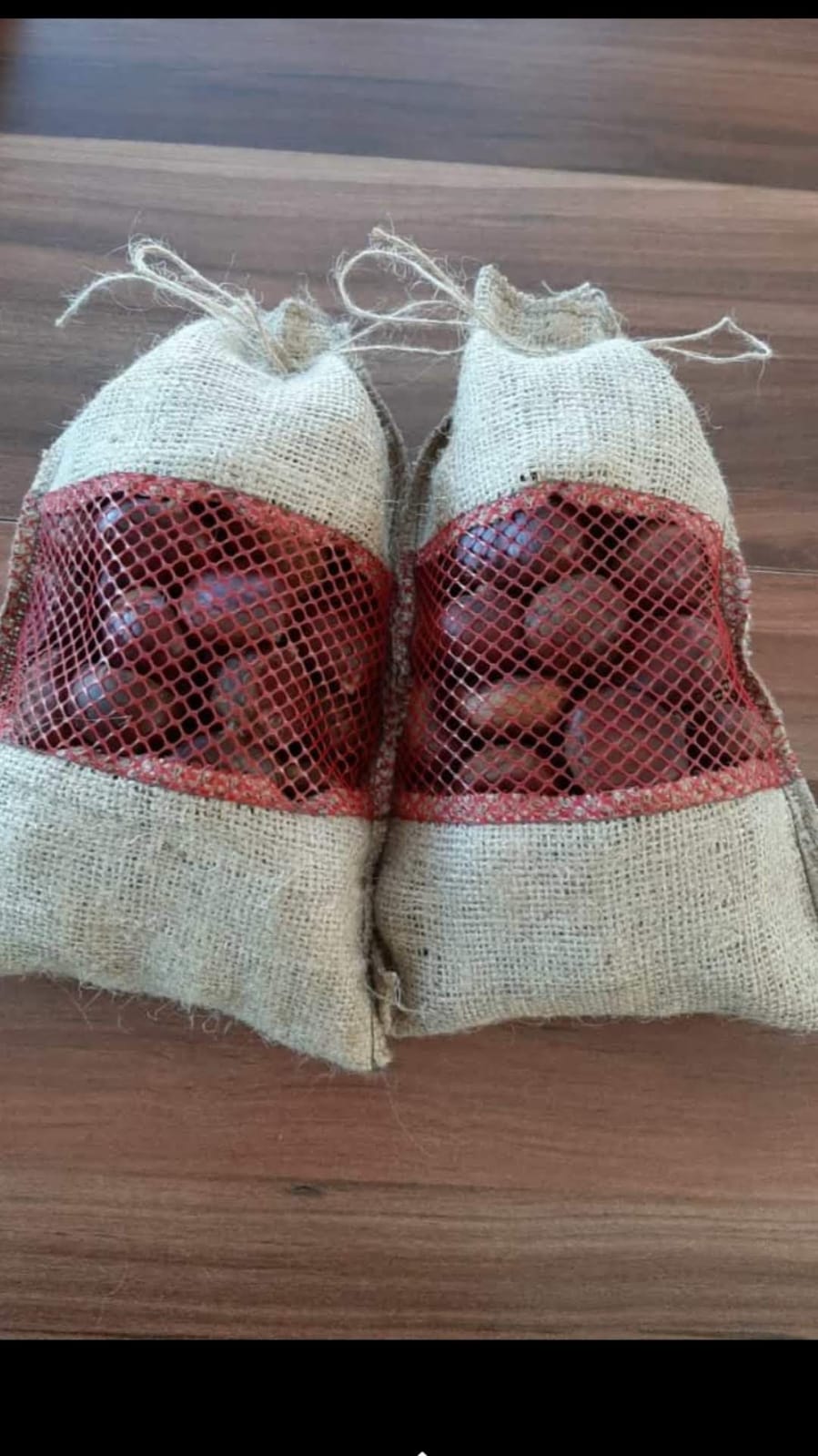 Kestane 